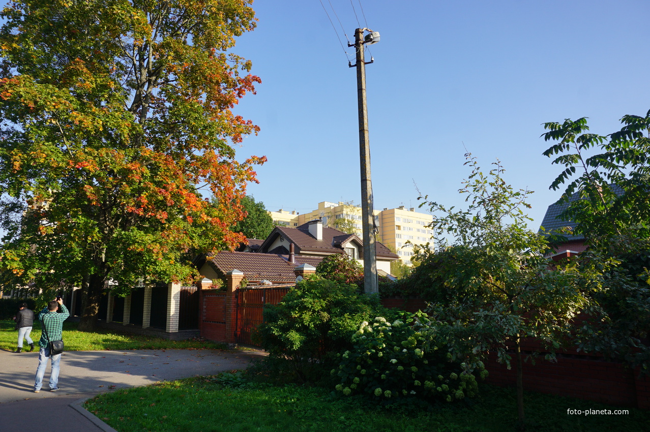 Сестрорецк.