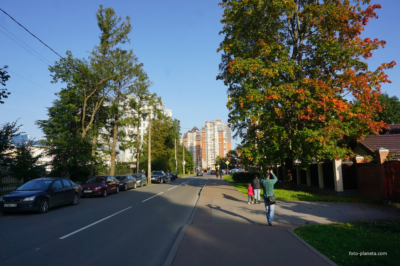 Дубовское шоссе.