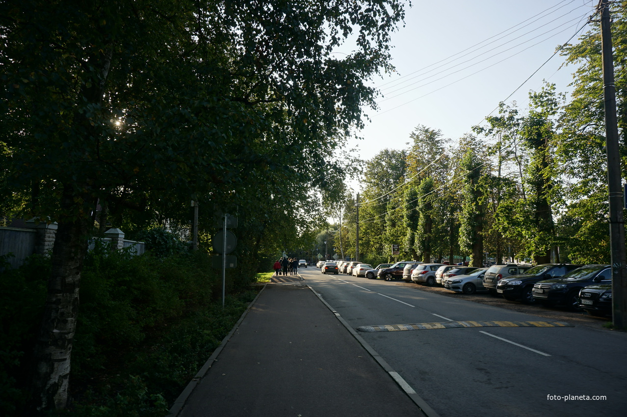 Сестрорецк.