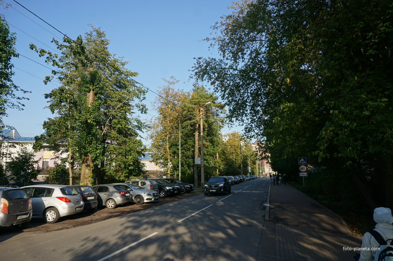 Сестрорецк.