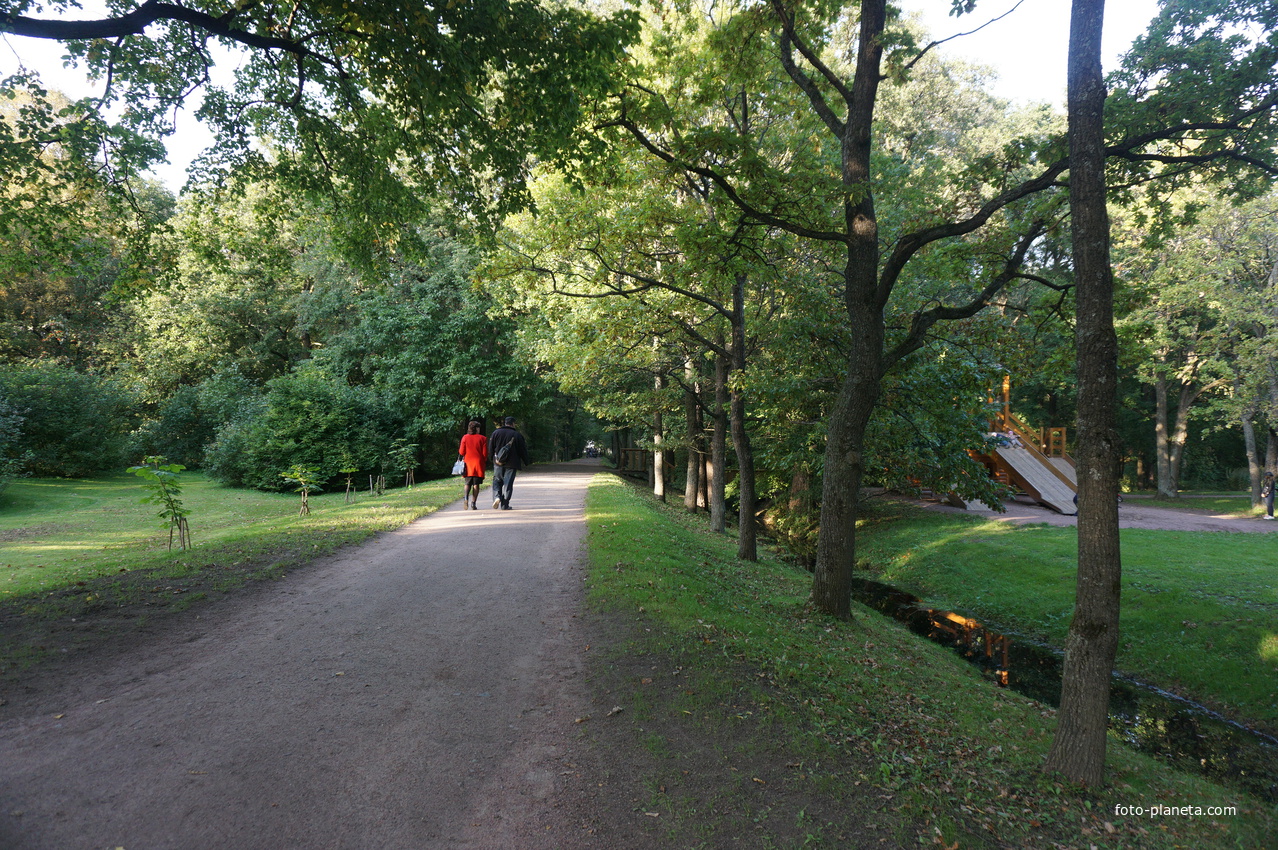 Парк Дубки.