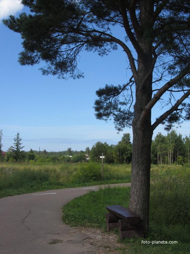 Парк на Ореховой горе