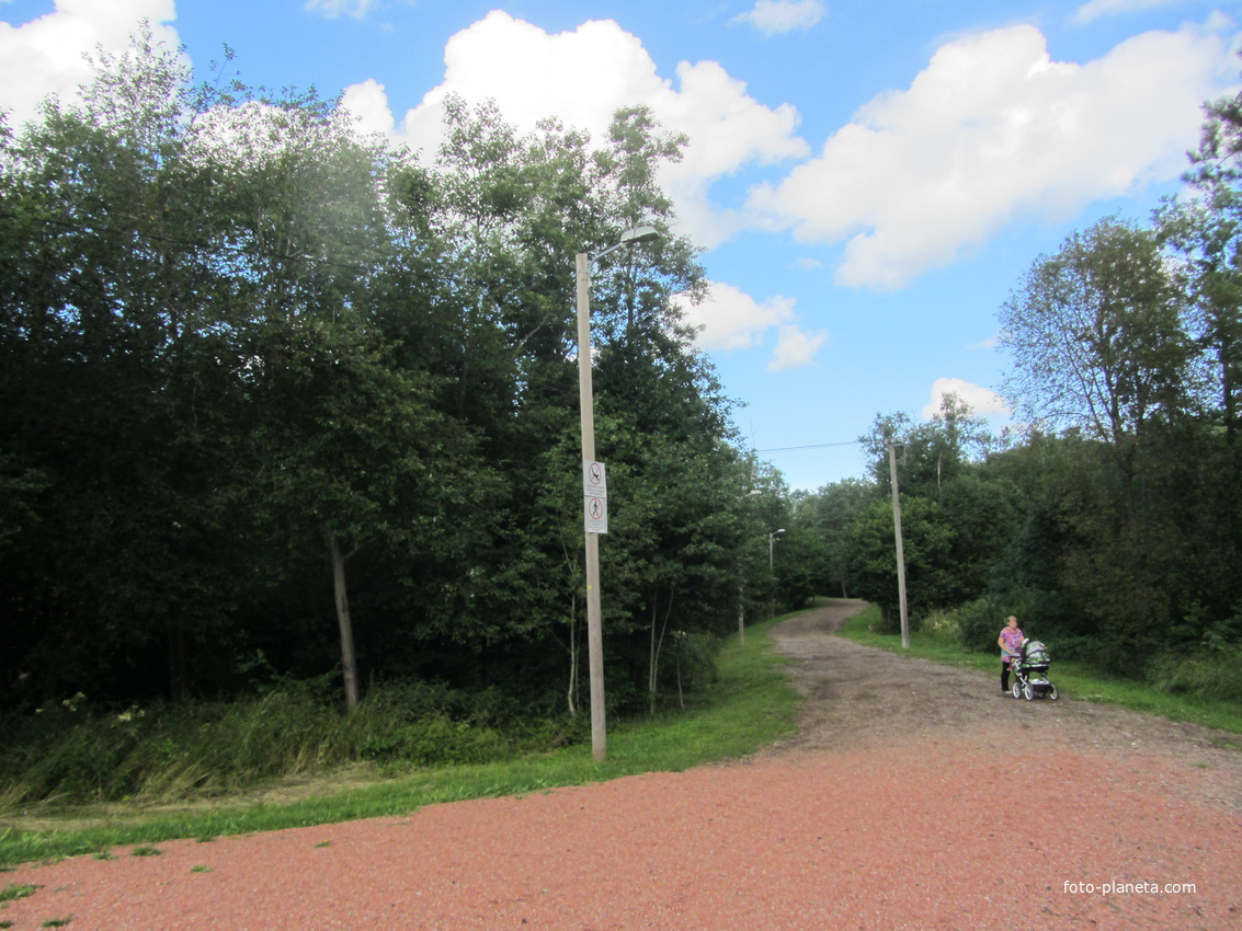 Парк на Ореховой горе