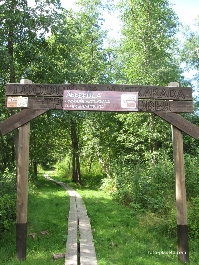 Нарвская природная тропа на ореховой горе (парк)