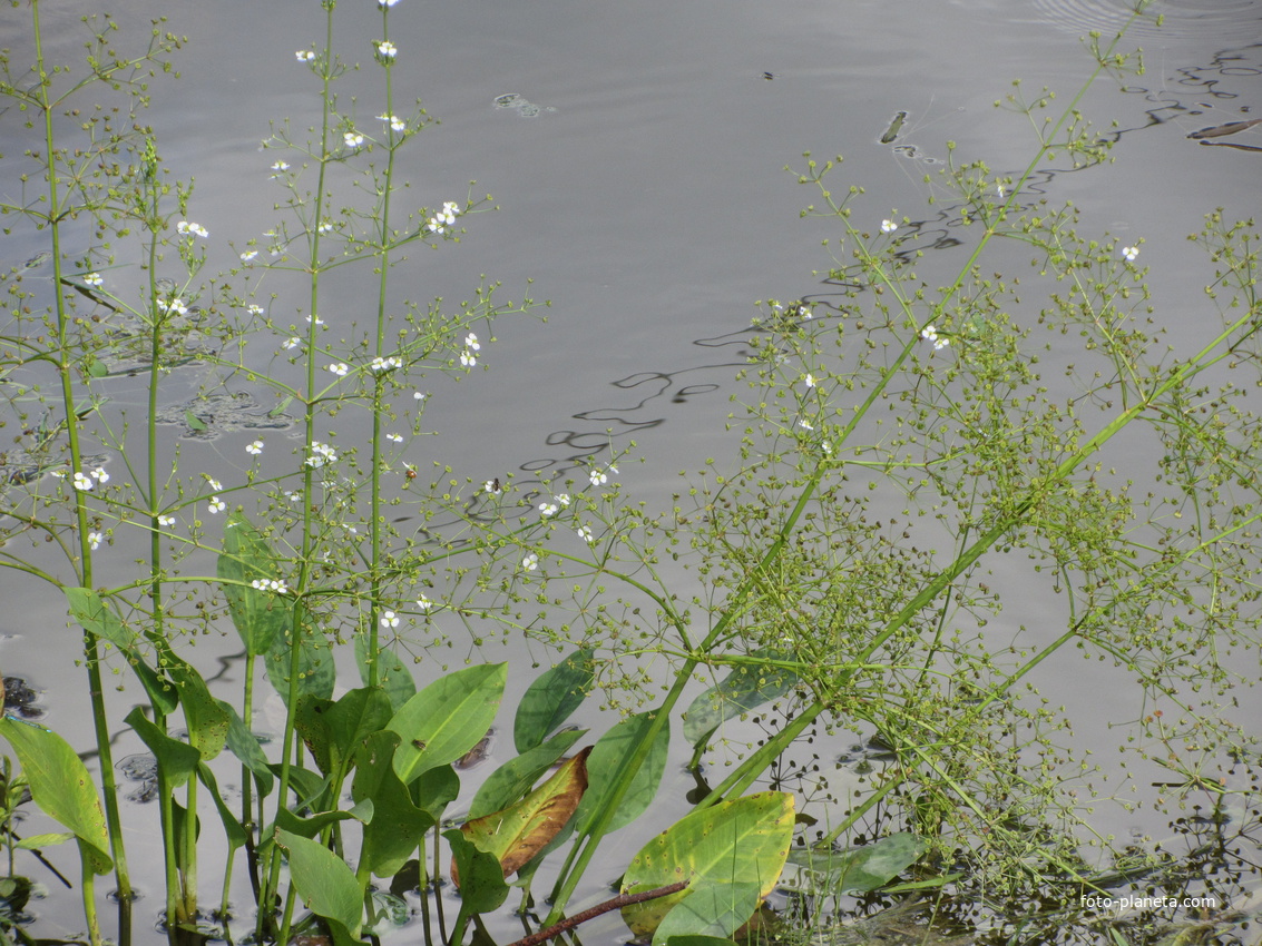Нарвская природная тропа на ореховой горе (парк)