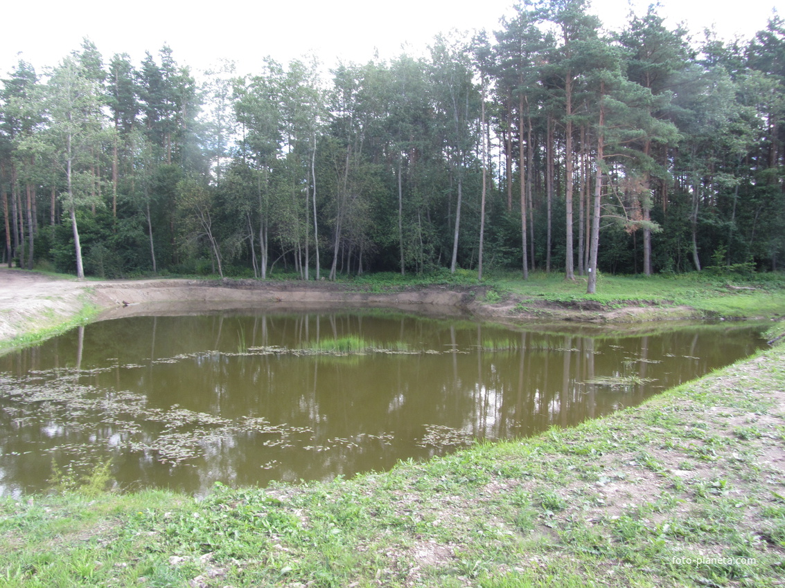 Нарвская природная тропа на ореховой горе (парк)