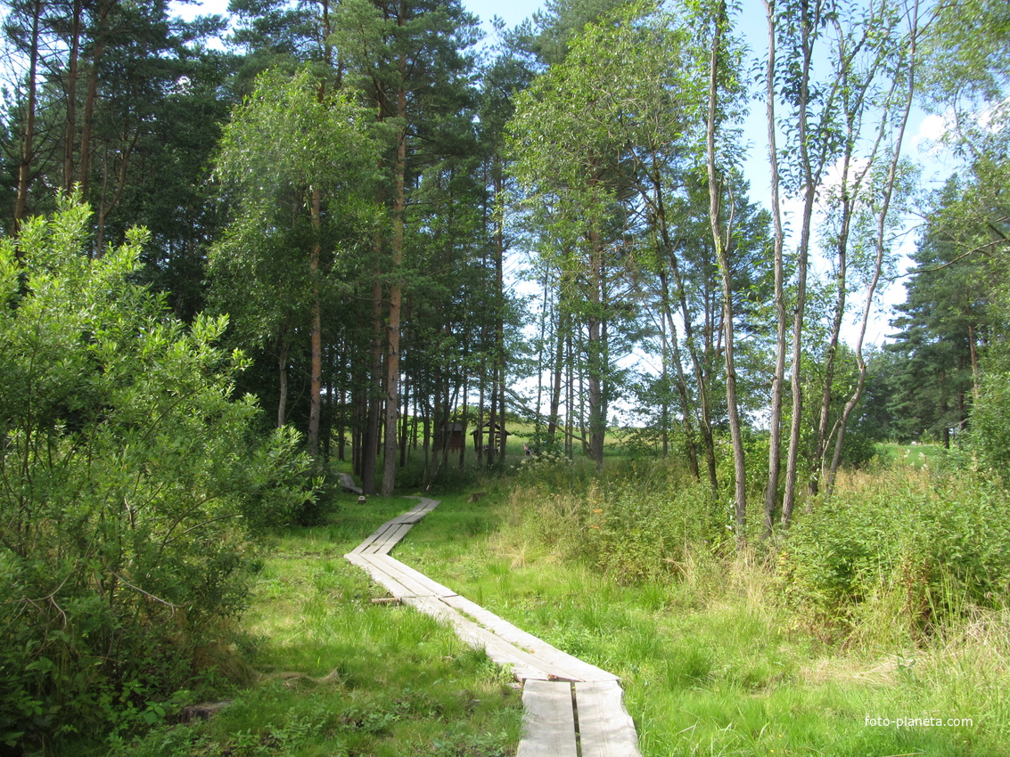 Нарвская природная тропа на ореховой горе (парк)