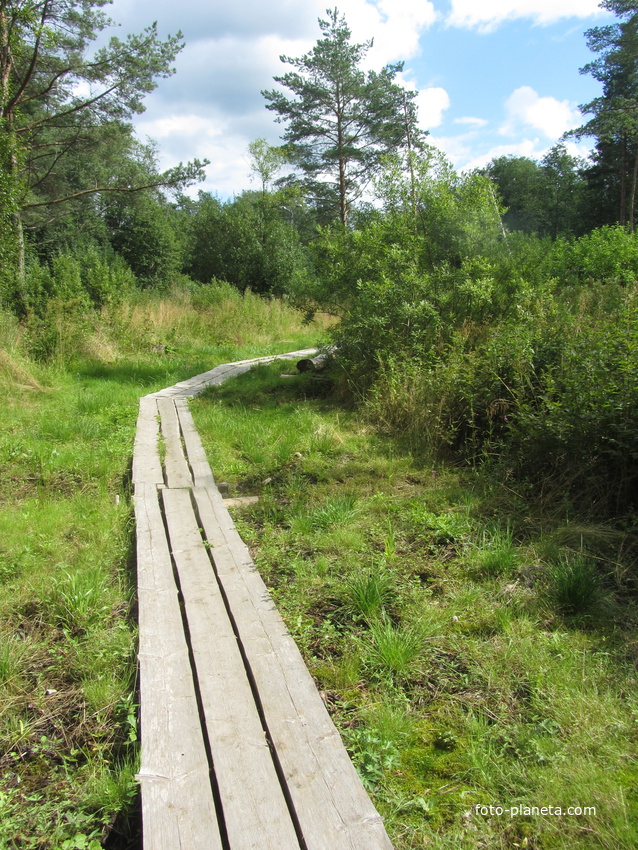 Нарвская природная тропа на ореховой горе (парк)