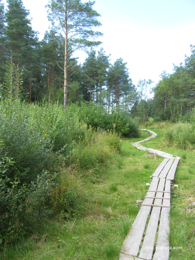 Нарвская природная тропа на ореховой горе (парк)