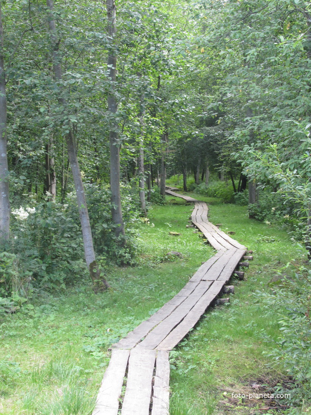 Нарвская природная тропа на ореховой горе (парк)