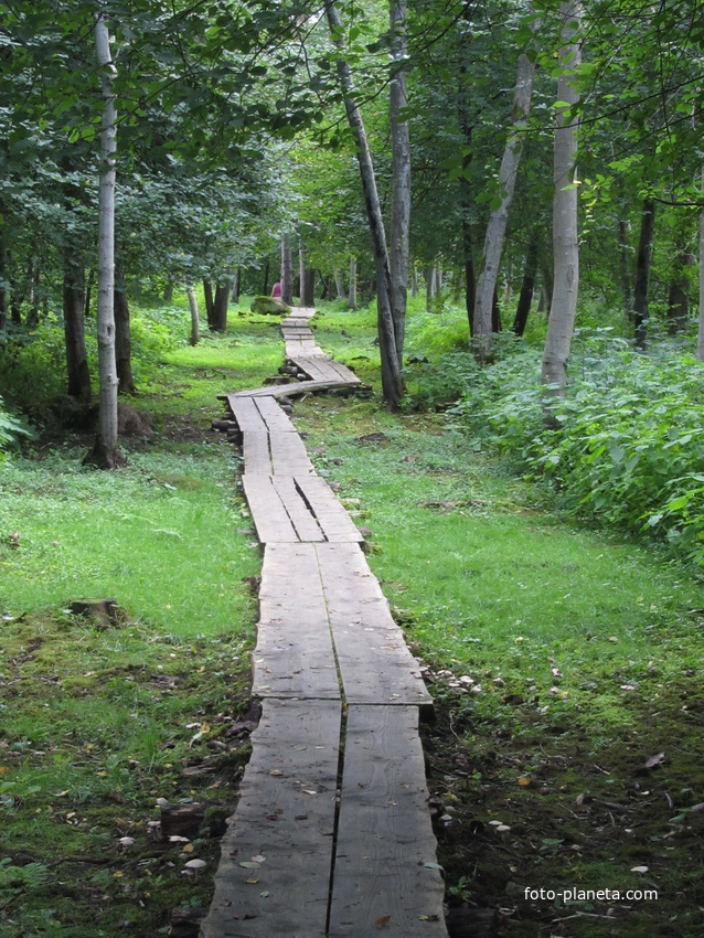 Нарвская природная тропа на ореховой горе (парк)