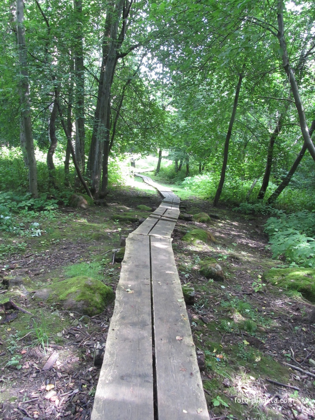 Нарвская природная тропа на ореховой горе (парк)