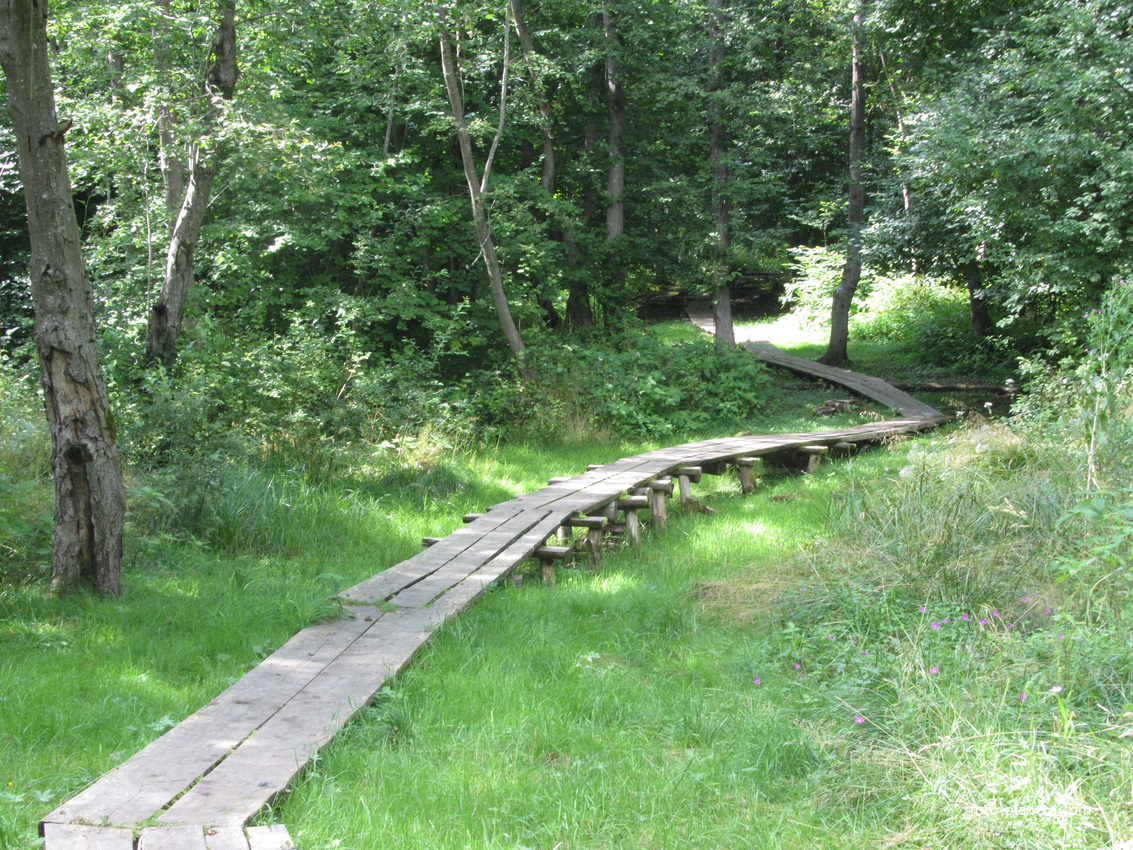 Нарвская природная тропа на ореховой горе (парк)