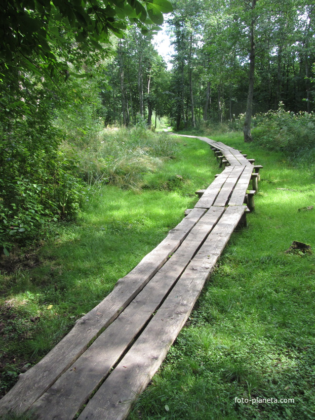 Нарвская природная тропа на ореховой горе (парк)