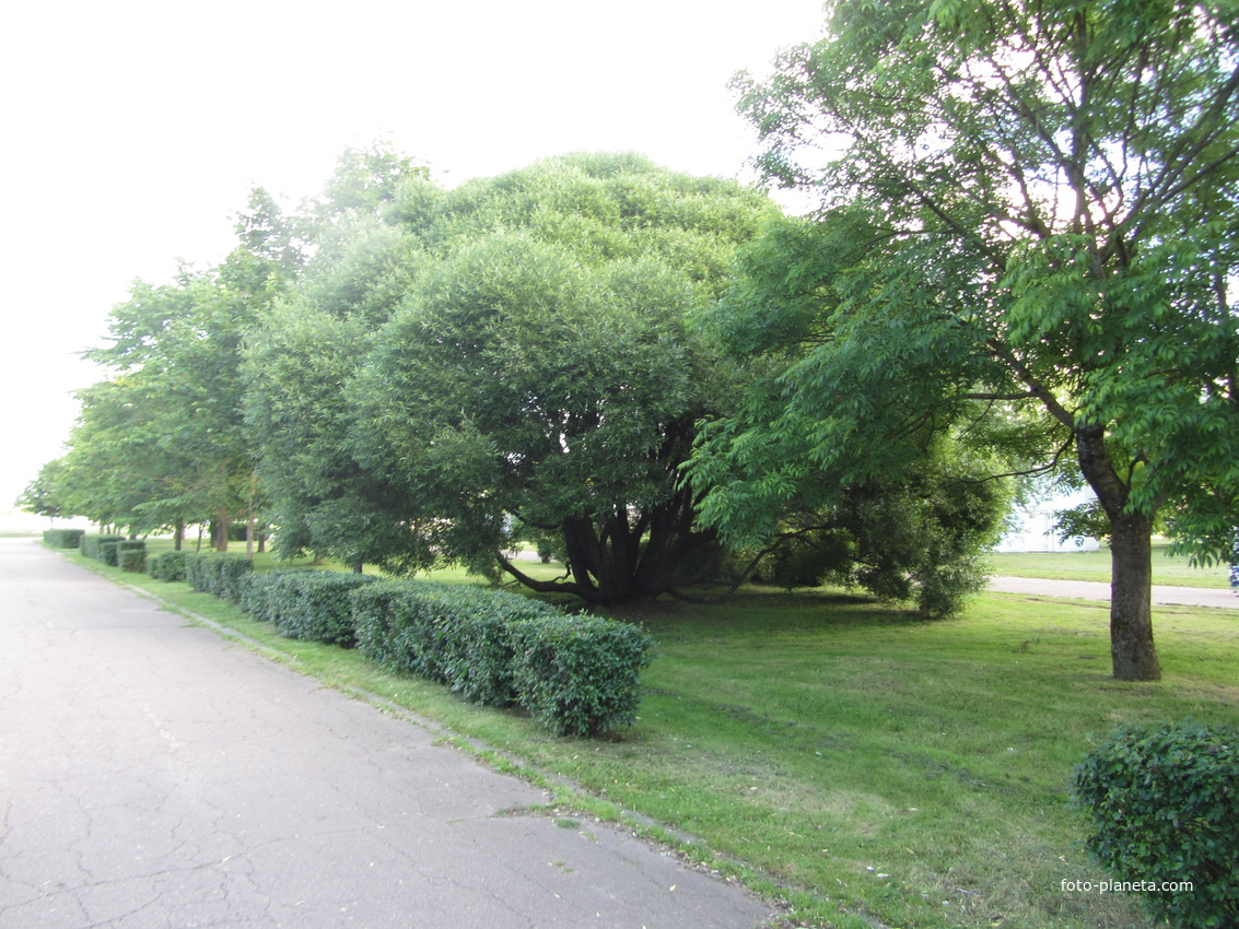 Pähklimäe, Нарва