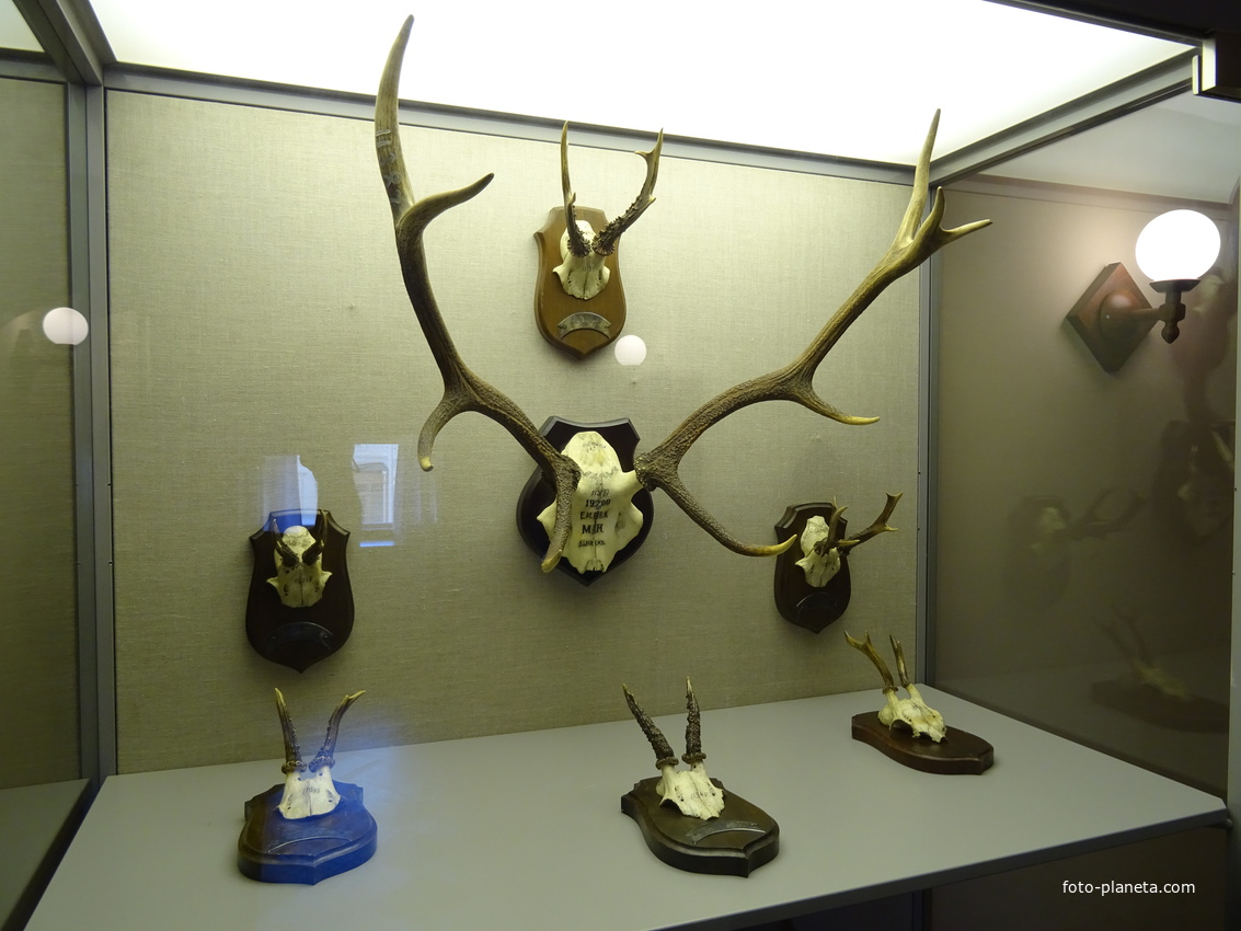 Гатчинский дворец. Личные комнаты семьи Александра III.