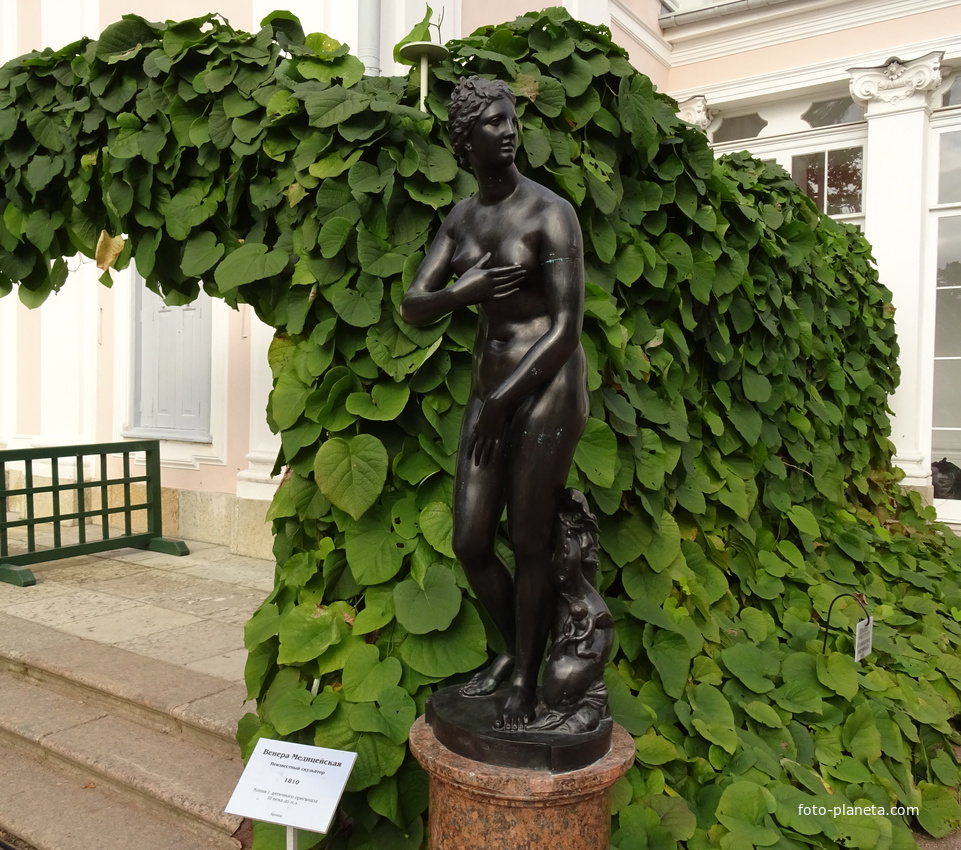 Скульптура &quot;Венера Медицейская&quot;