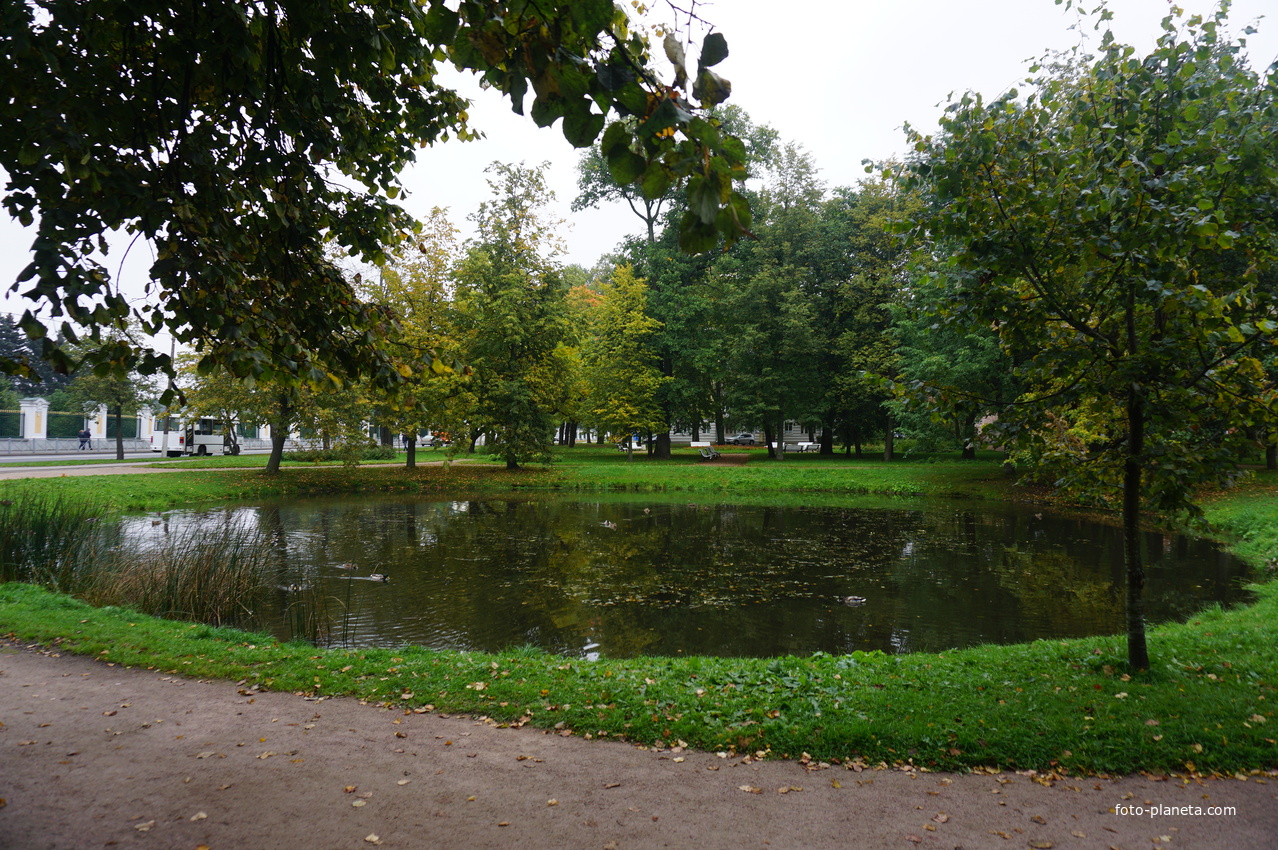 Озеро в Голицынском саду.