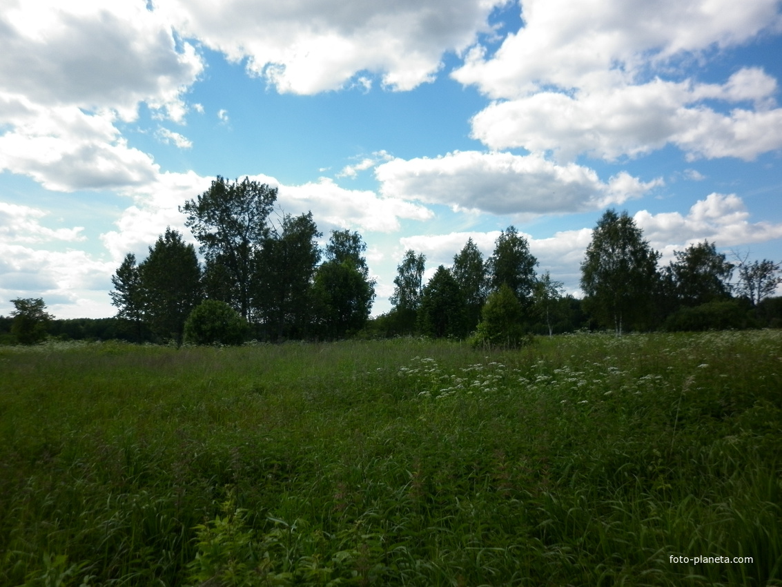 Здесь была д.Бурнаши