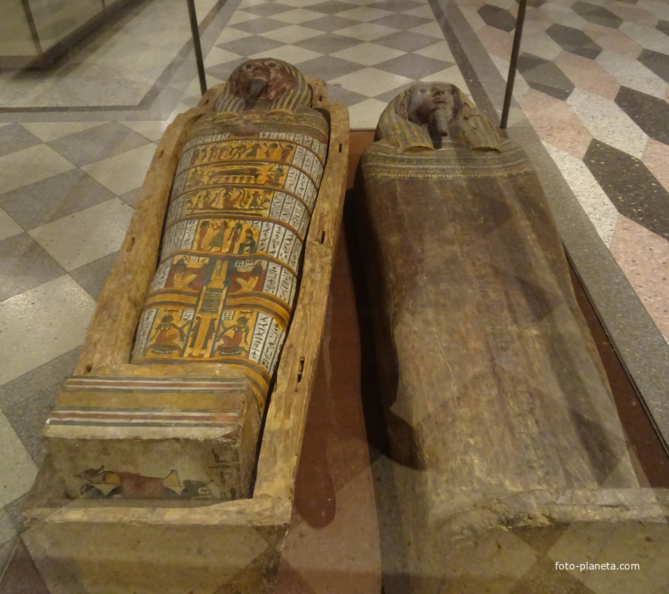 Зал Древнего Египта. Саркофаги.