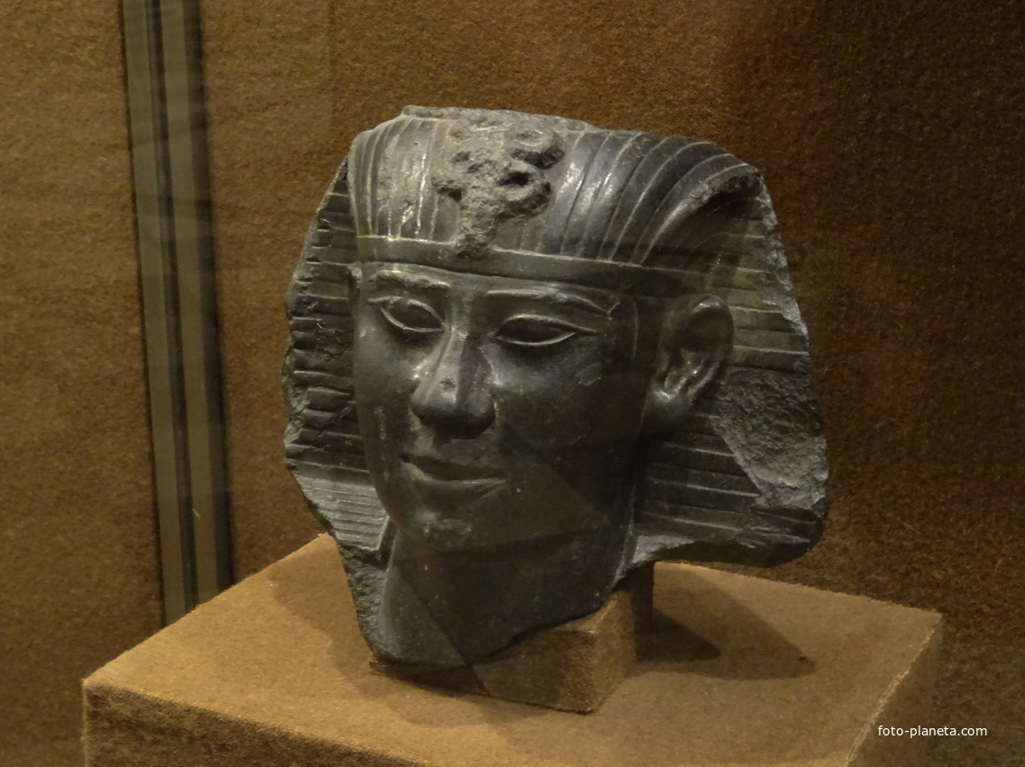Зал Древнего Египта. Голова статуи царя Априя.