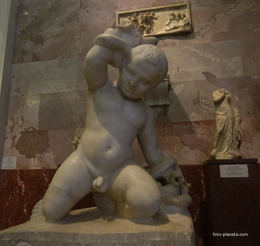 Зал античной декоративной скульптуры. Младенец Геракл, удушающий змей.