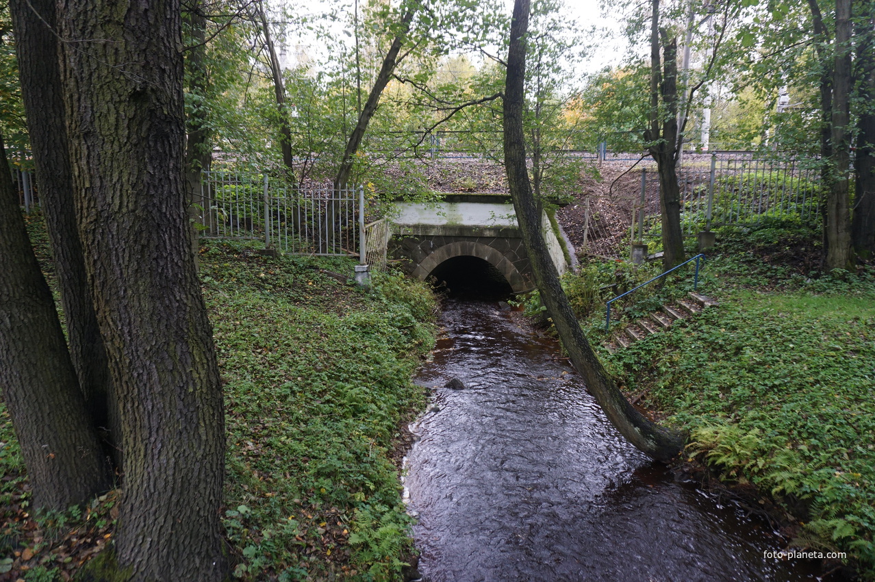 Зеленогорск.