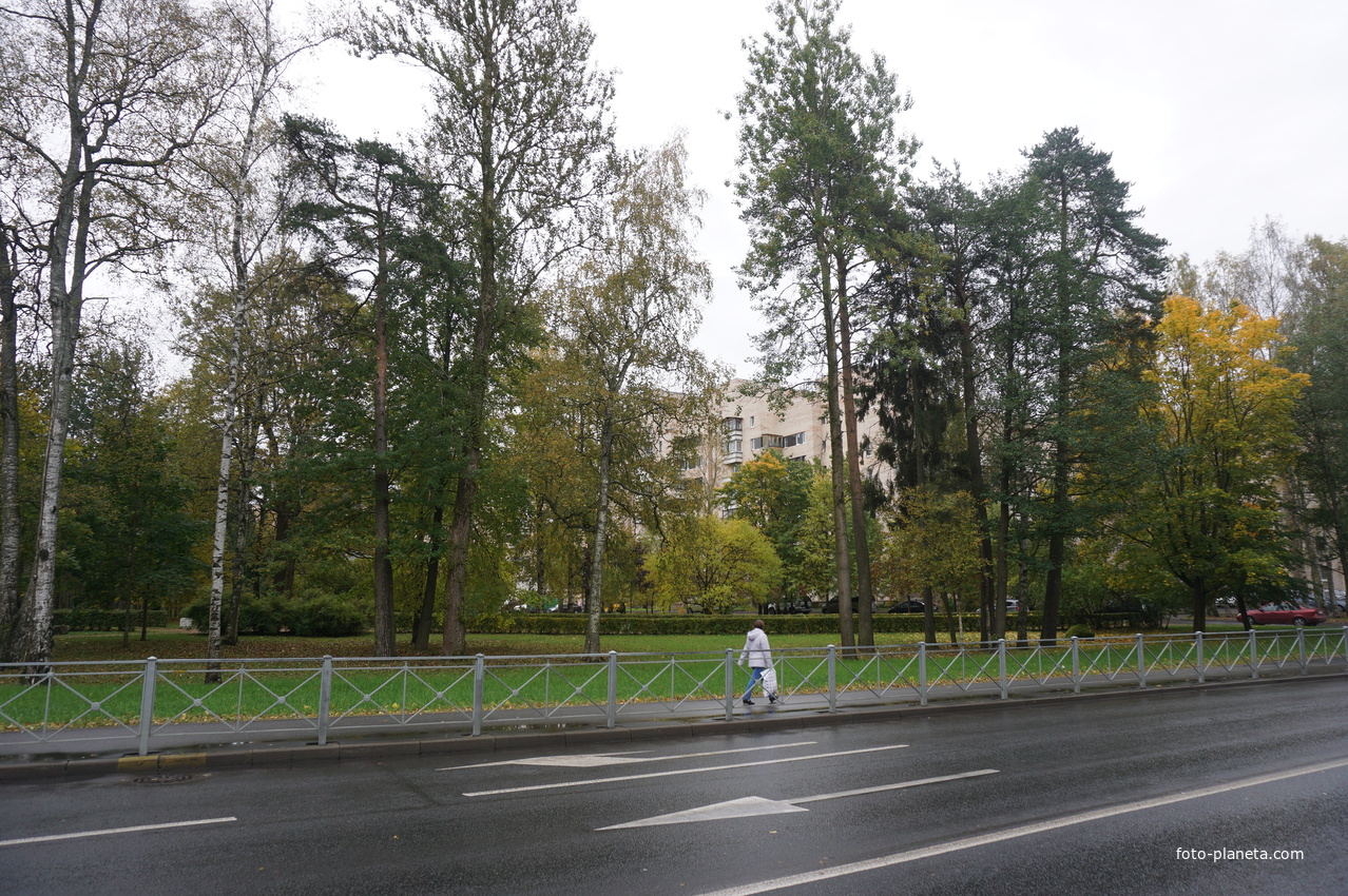 Зеленогорск.