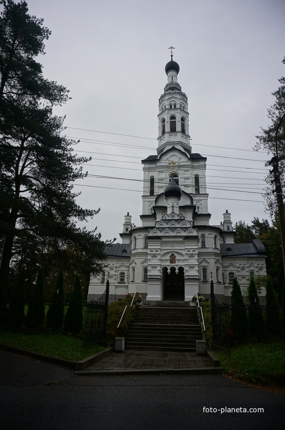 г.Зеленогорск.