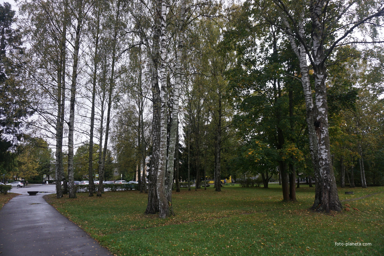 г.Зеленогорск.