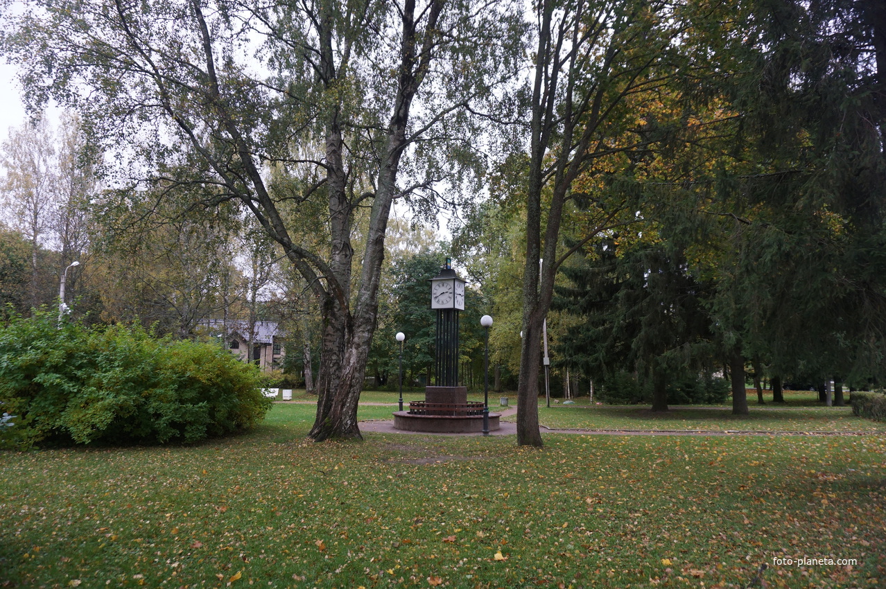 г.Зеленогорск.