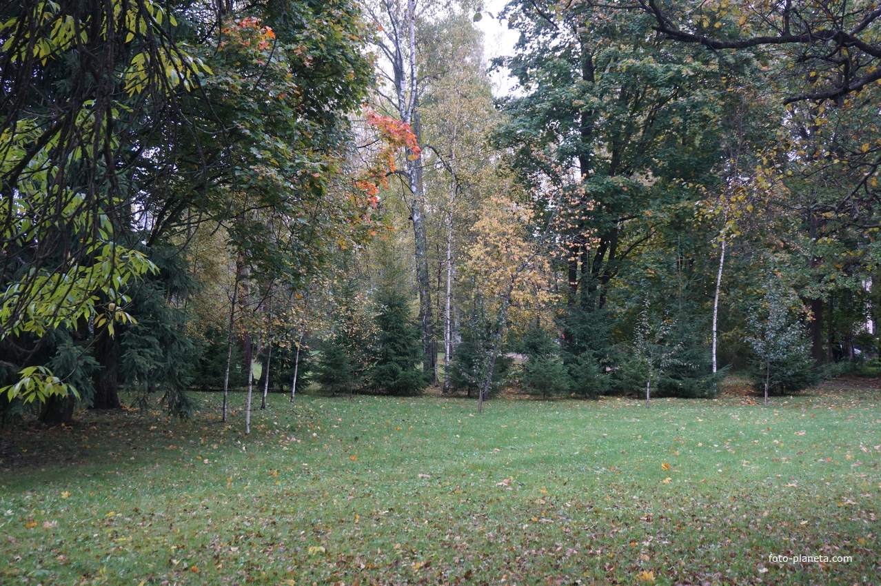 На проспекте Ленина.