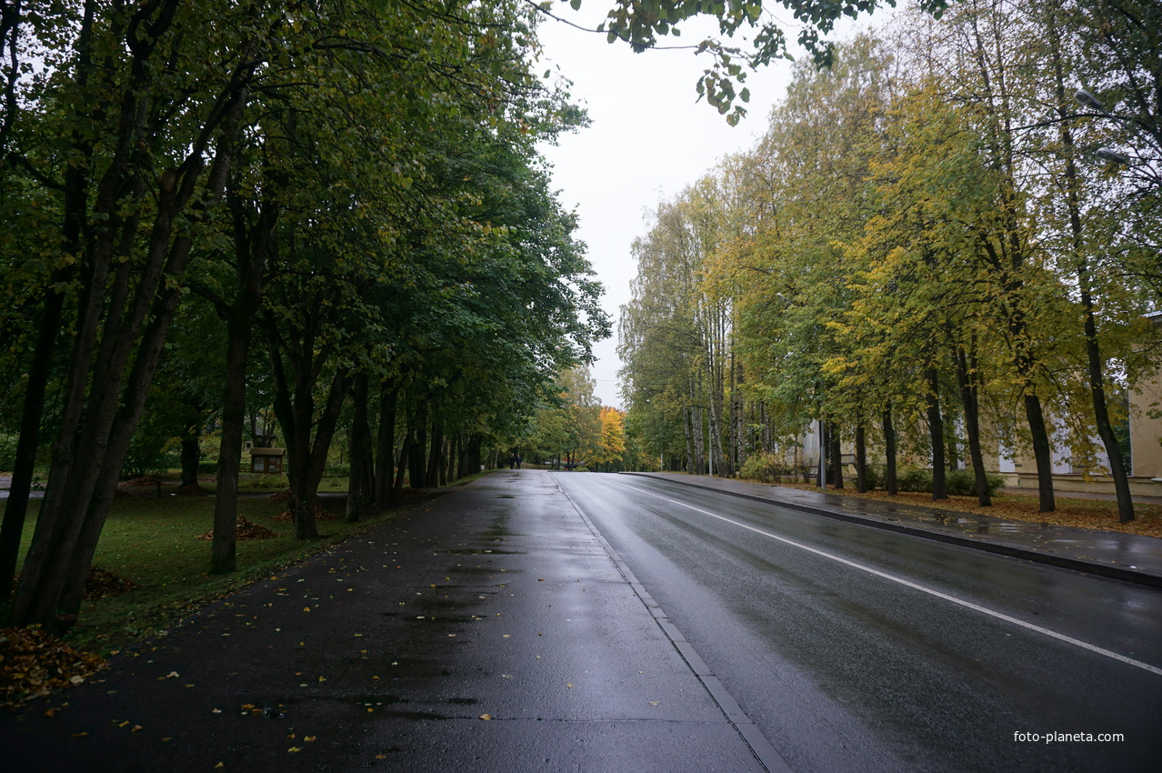 Проспект Ленина.