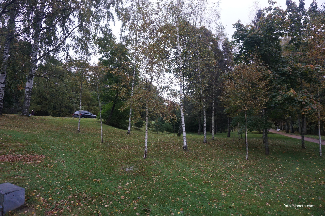 г.Зеленогорск.