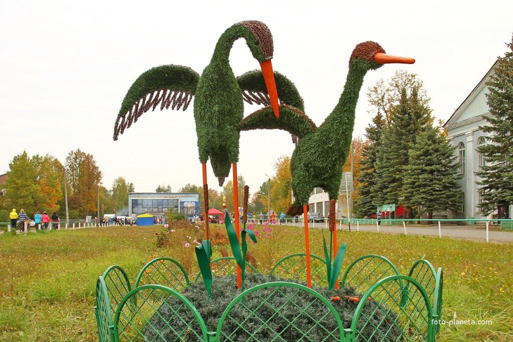 Аисты в центре пгт. Ленинское