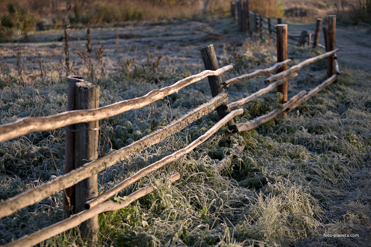 Морозное утро