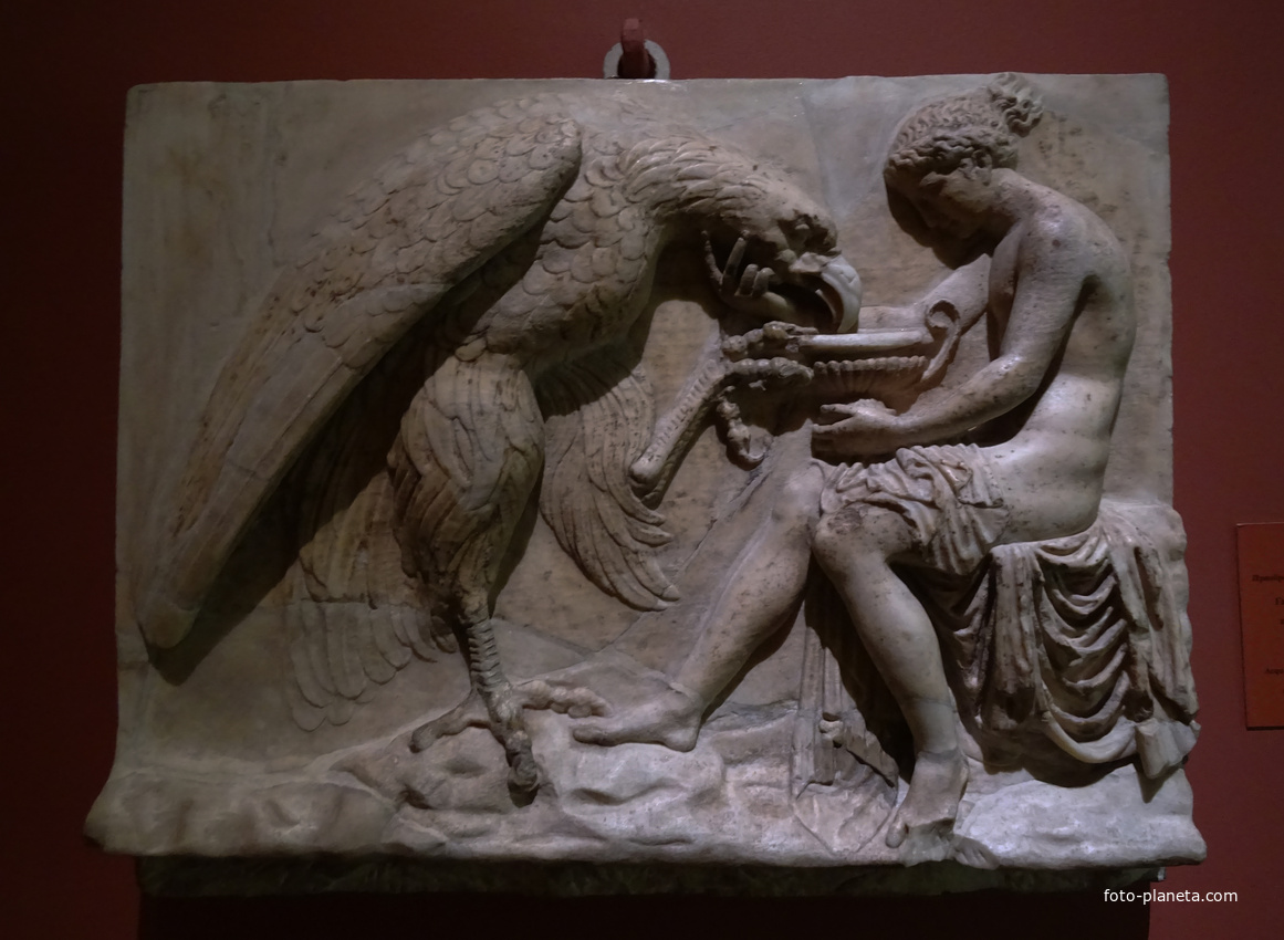 Эрмитаж. Ганимед с орлом.