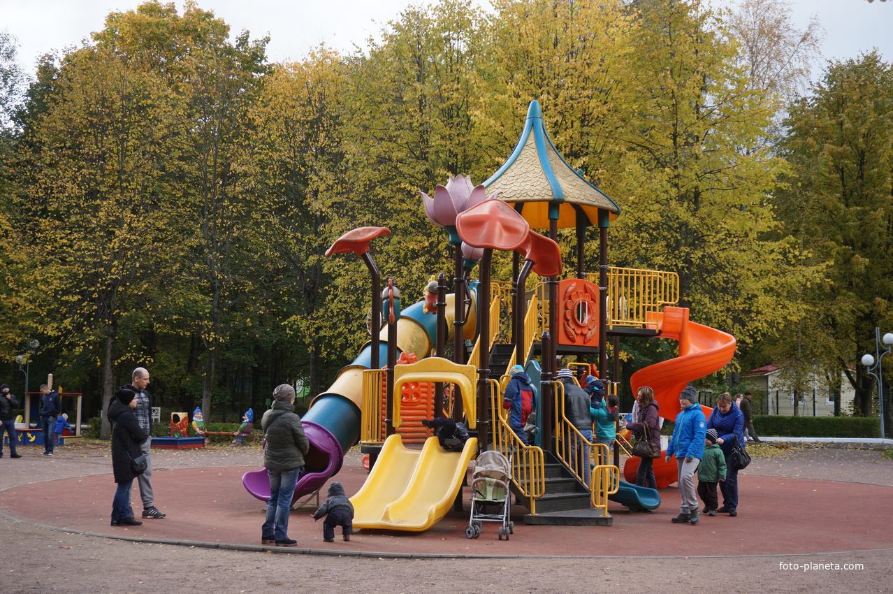 В городском парке культуры и отдыха.