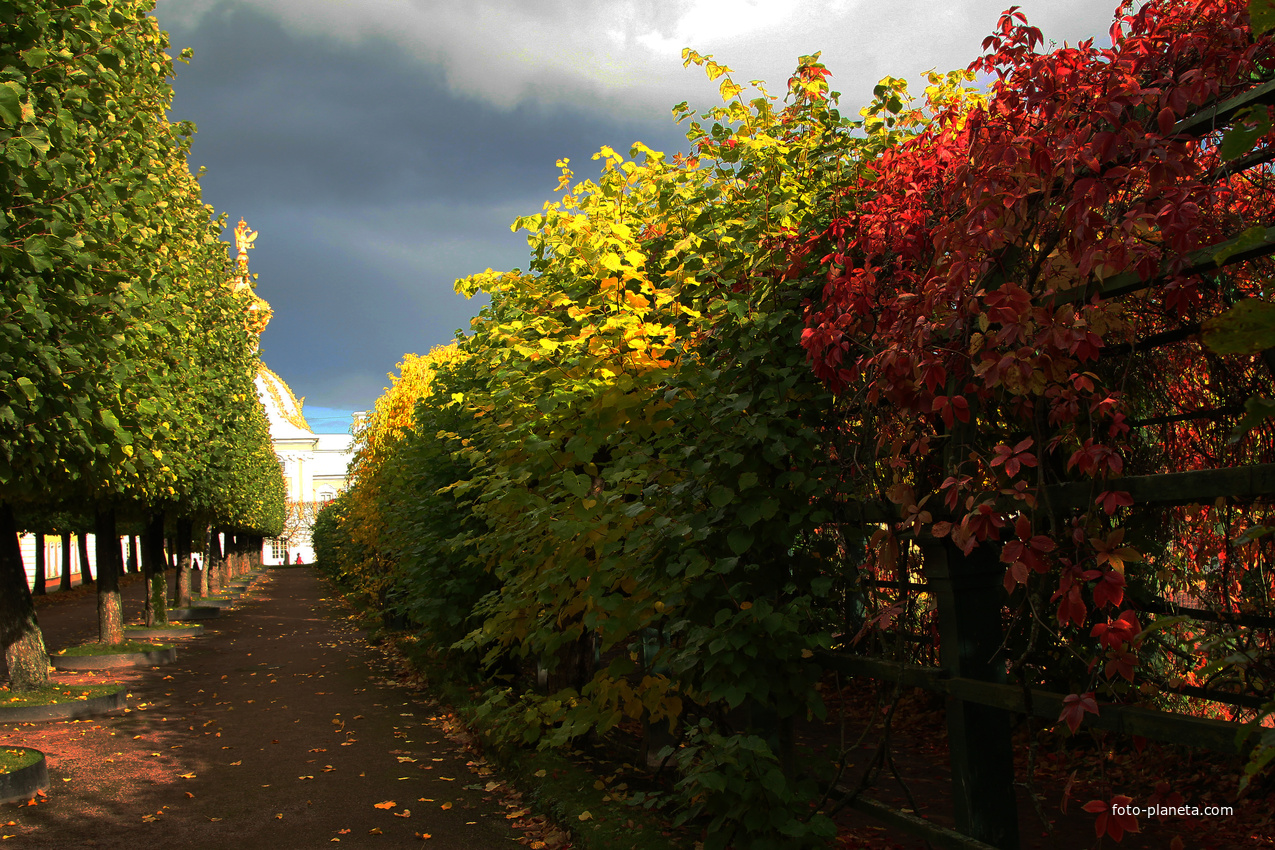 Верхний парк