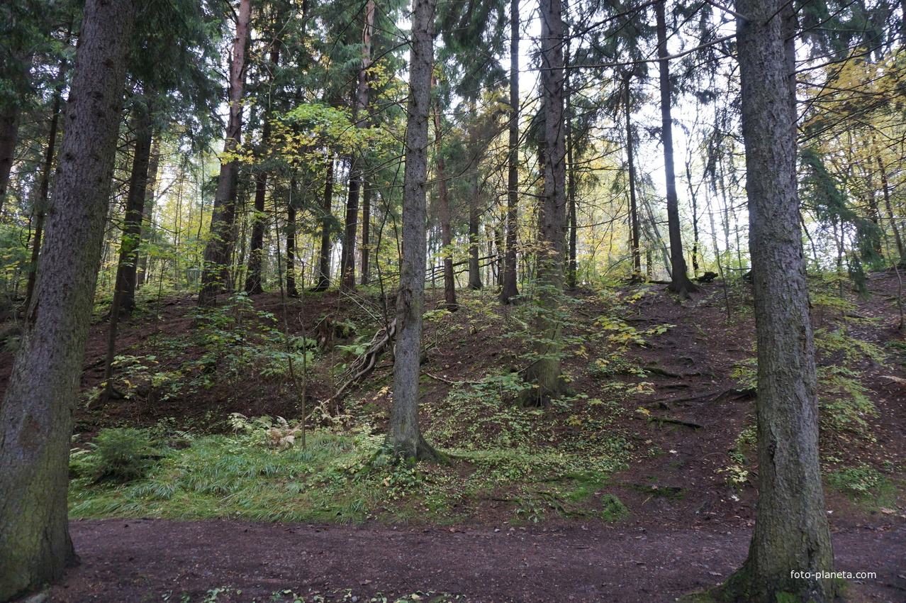 Территолрия музея -усадьбы Репина