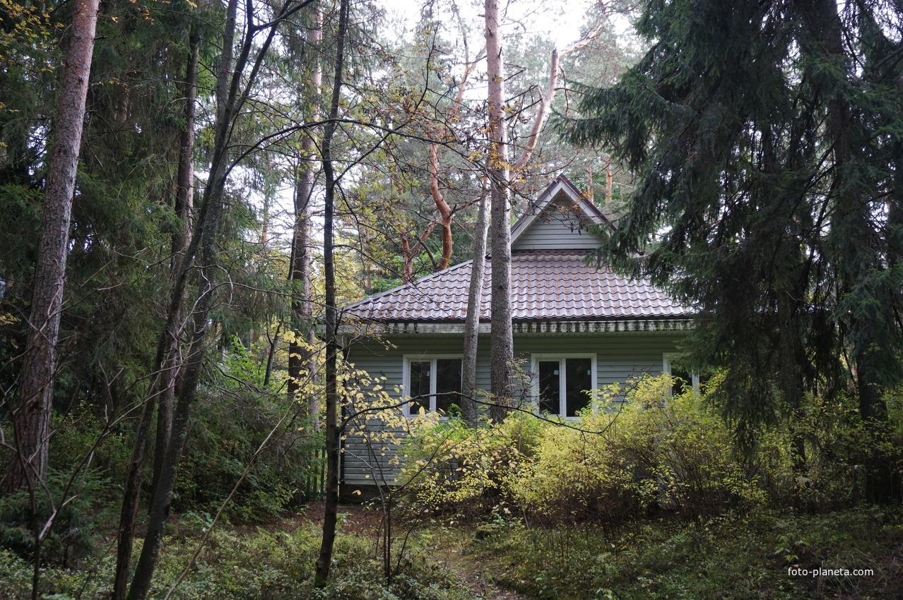 Территория музея-усадьбы Репина.