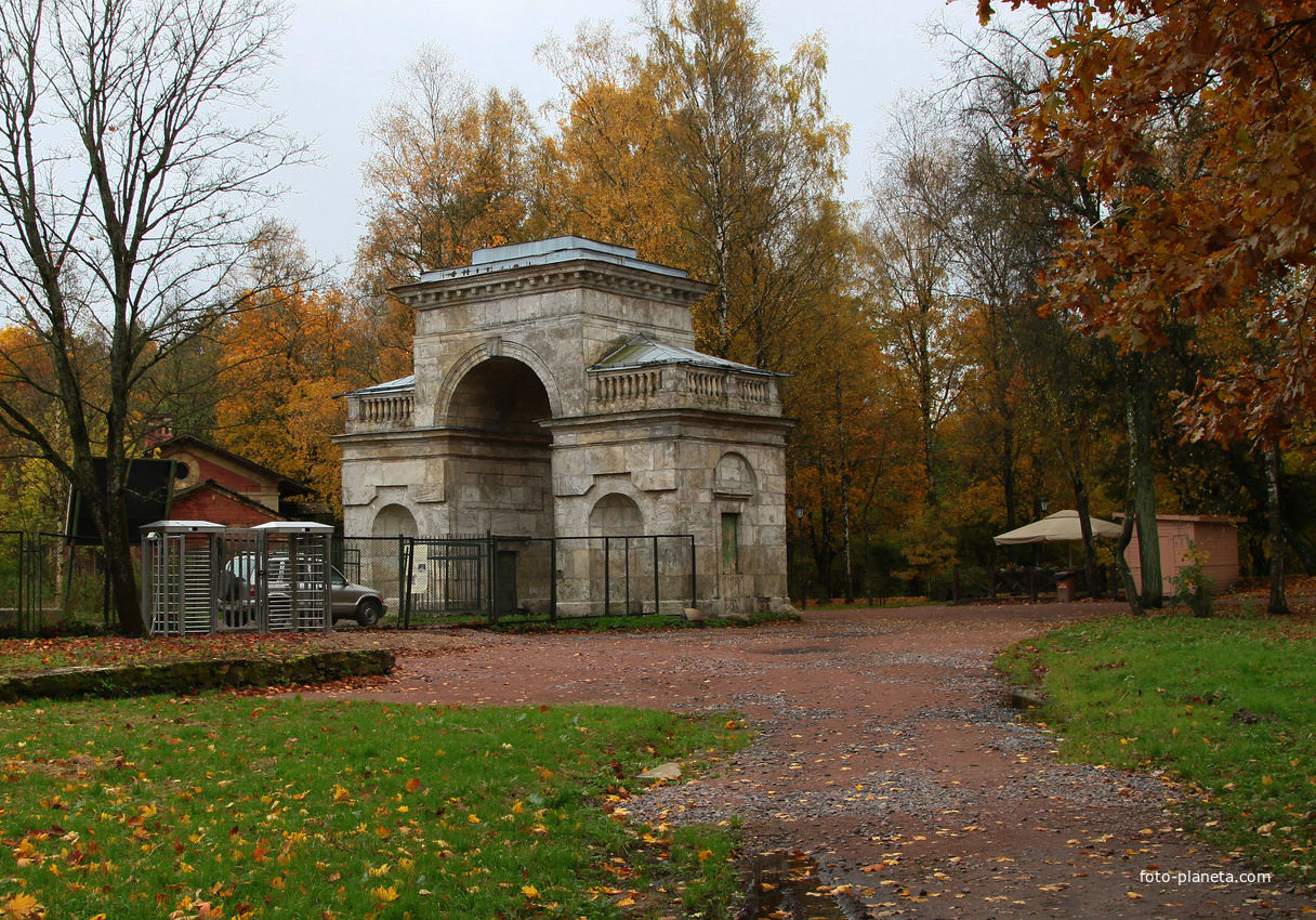 Берёзовые ворота