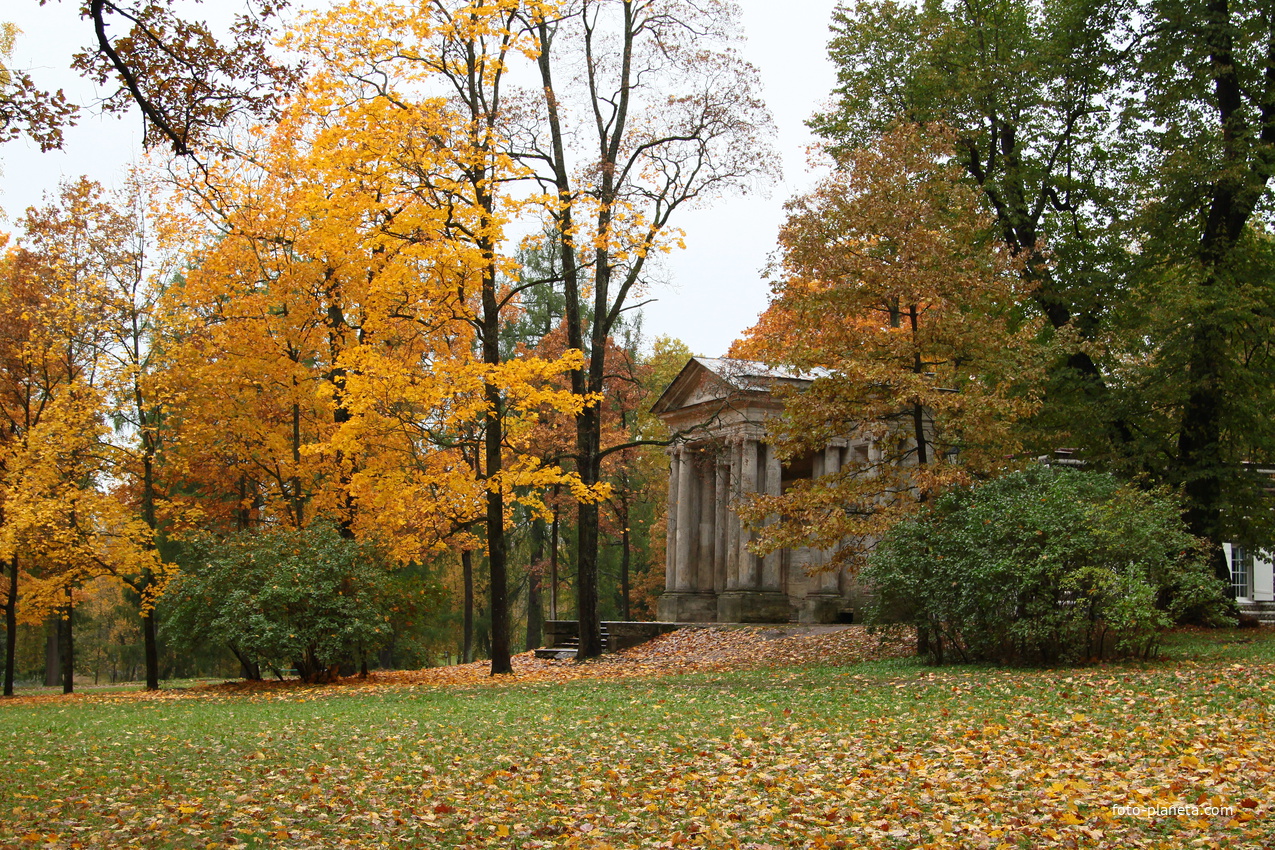 Дворцовый парк