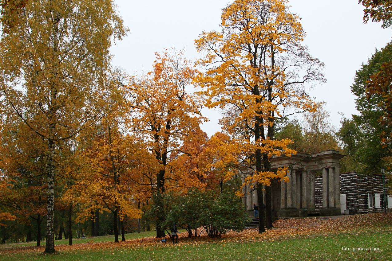 Дворцовый парк