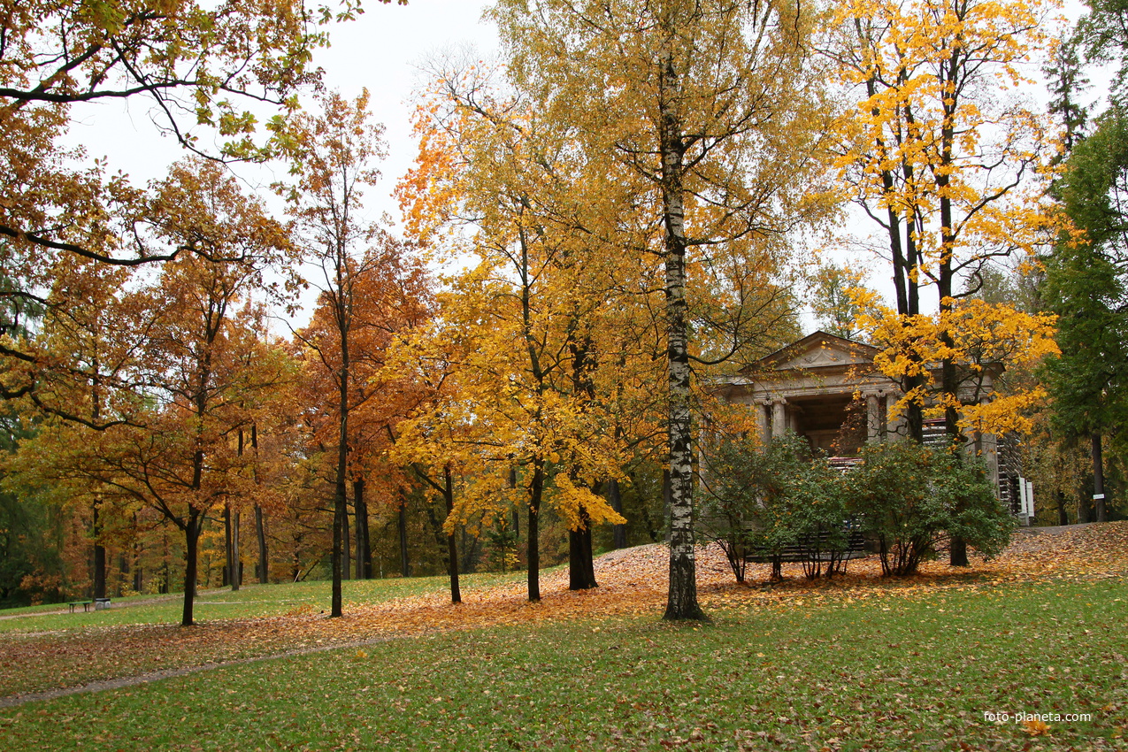 Дворцовый парк