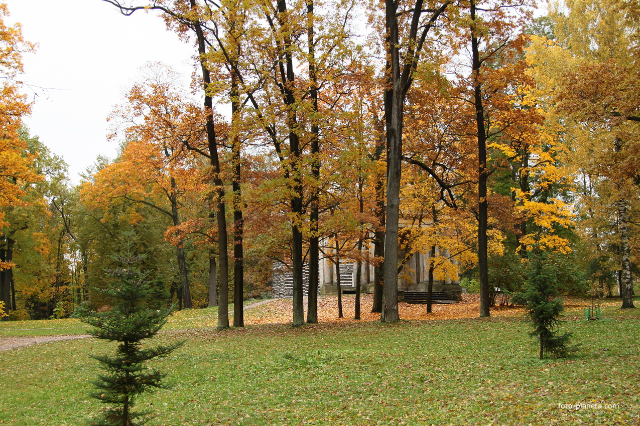 Дворцовый парк