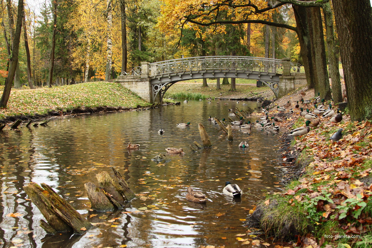 Дворцовый парк