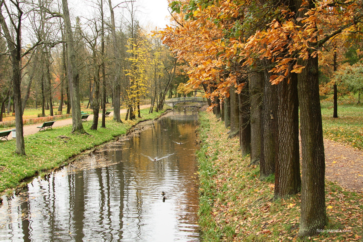 Дворцовый парк