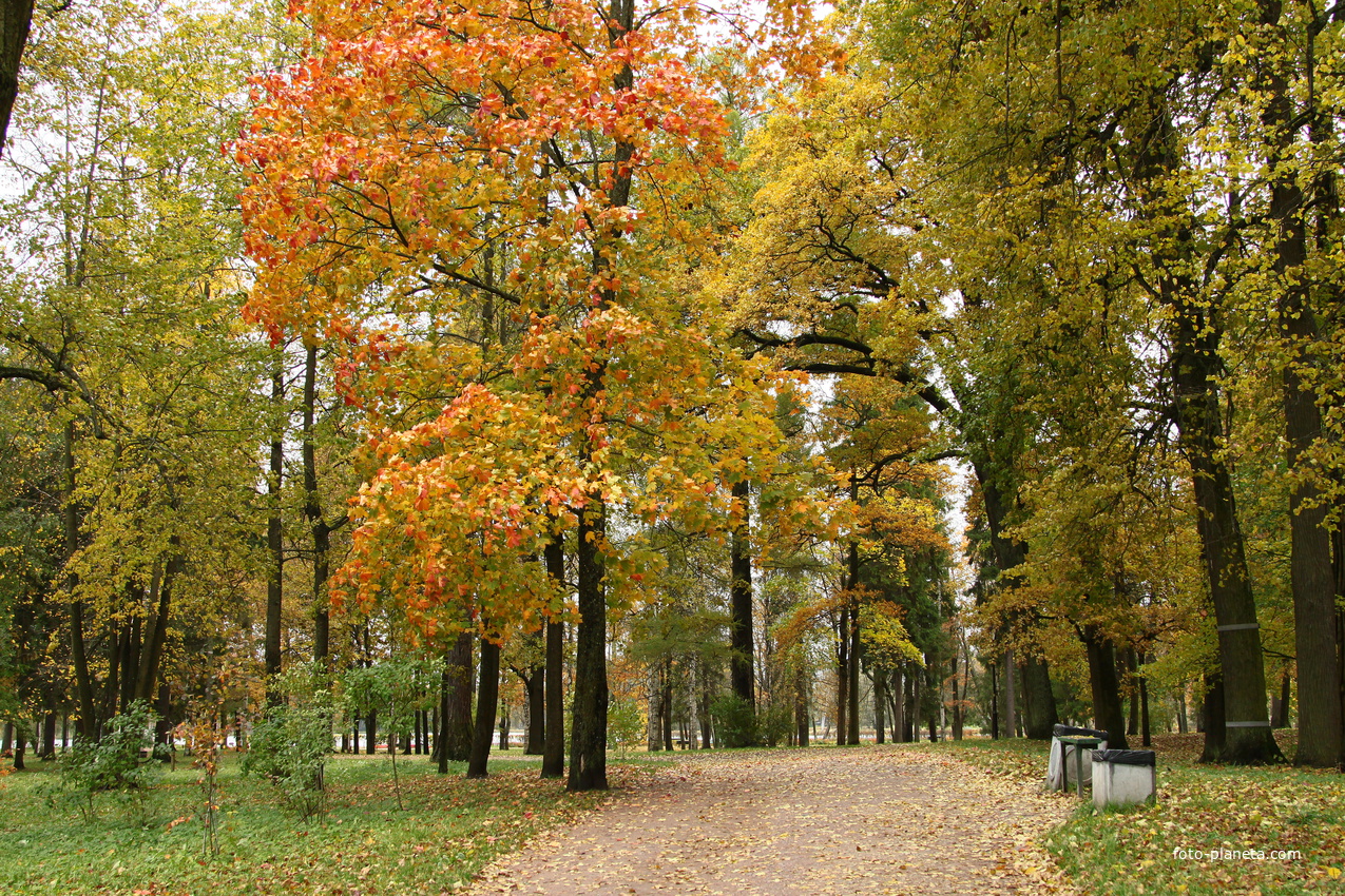 Дворцовый парк