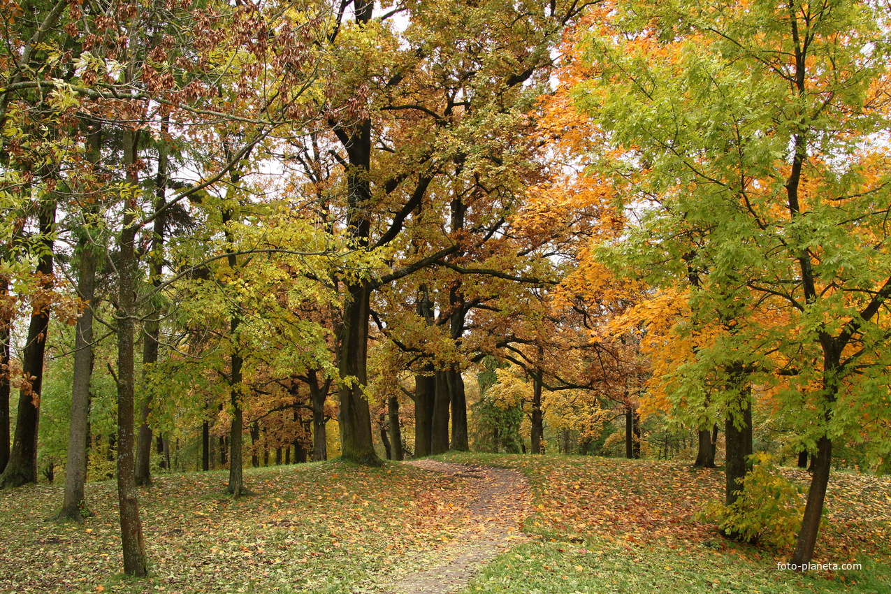 Дворцовый парк